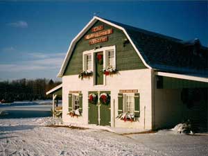 Paulson's Christmas Barn